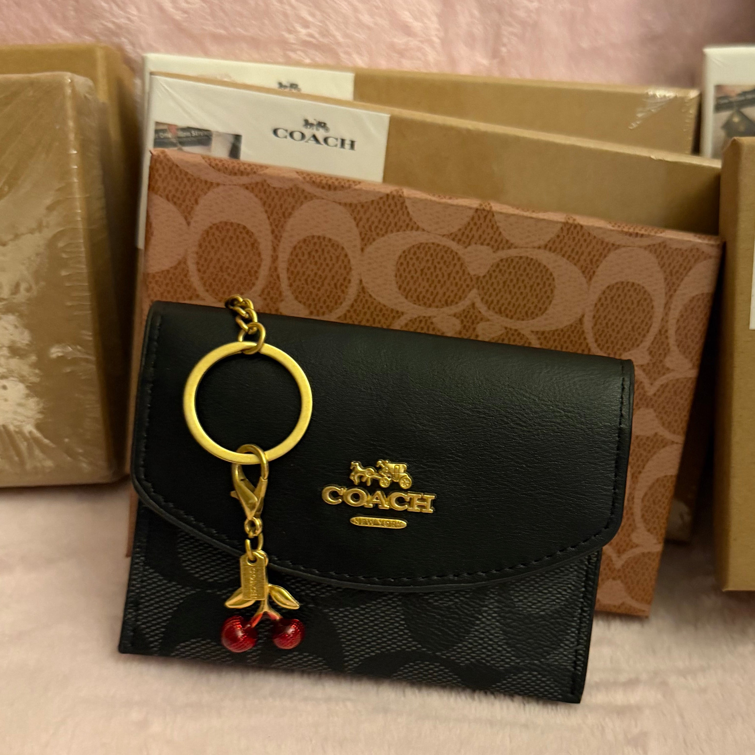 Cartera Tarjetero Coach