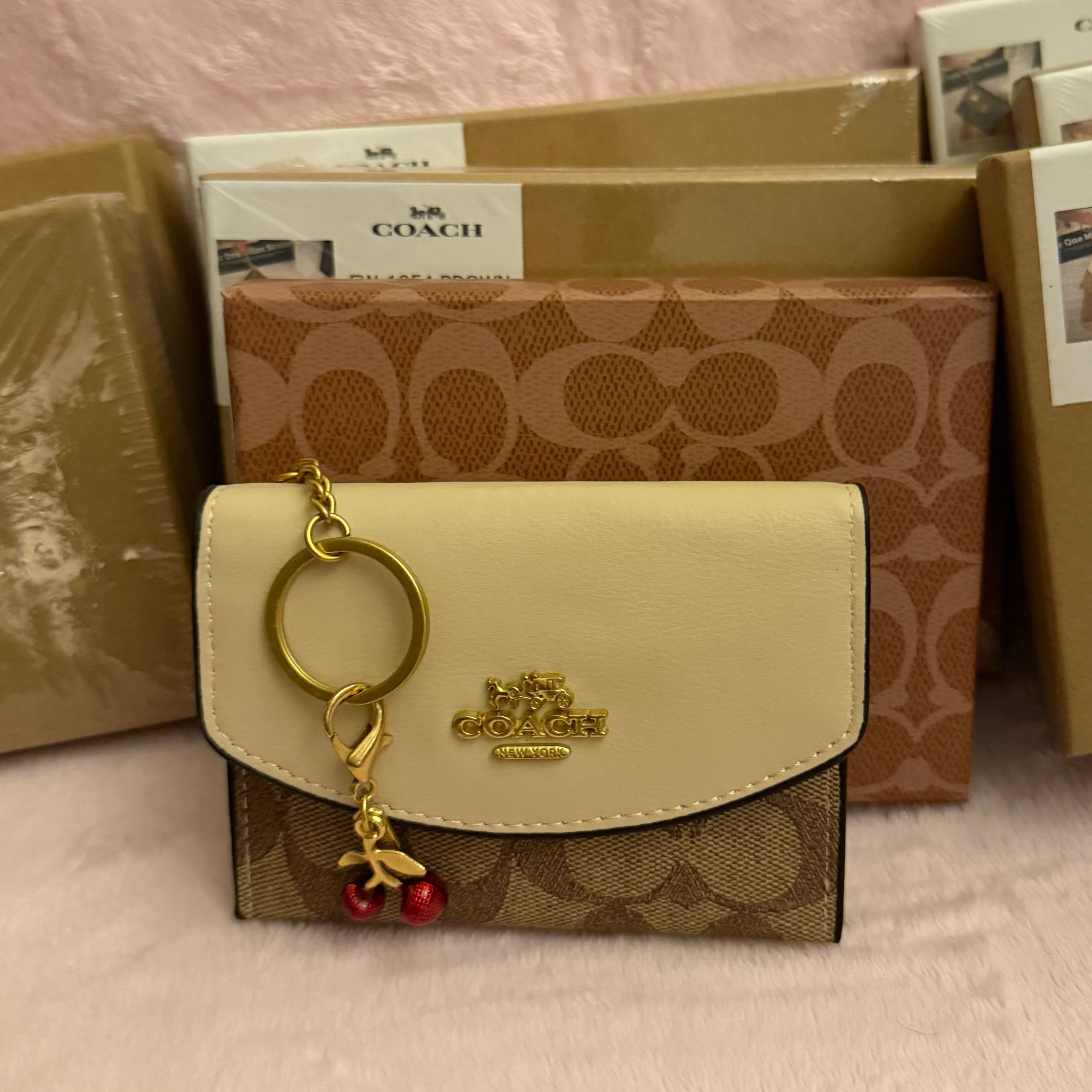 Cartera Tarjetero Coach