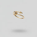 Anillo Flecha