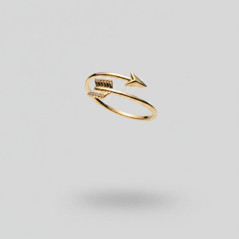 Anillo Flecha